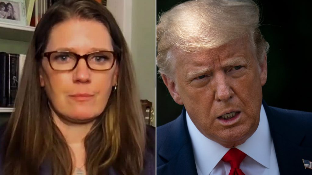Mary Trump dice que el presidente «no va a mejorar y que sin duda va a empeorar»